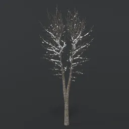 Tree With Snow