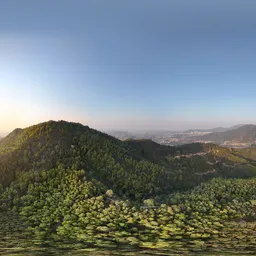 Green tree mountain cloud bluesky