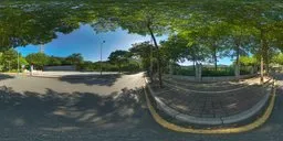 Afternoon by the asphalt road 16k