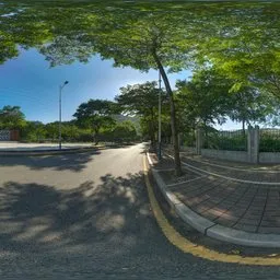 Afternoon by the asphalt road 16k