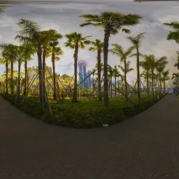 Night road