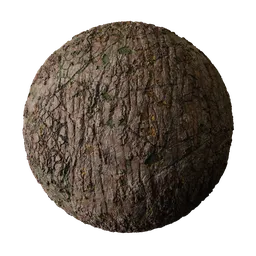 Old wood bark