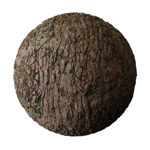Old wood bark