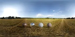 Harvested field, unclipped sun