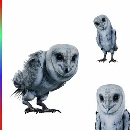 Owl Female Animated