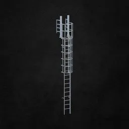Exterior ladder