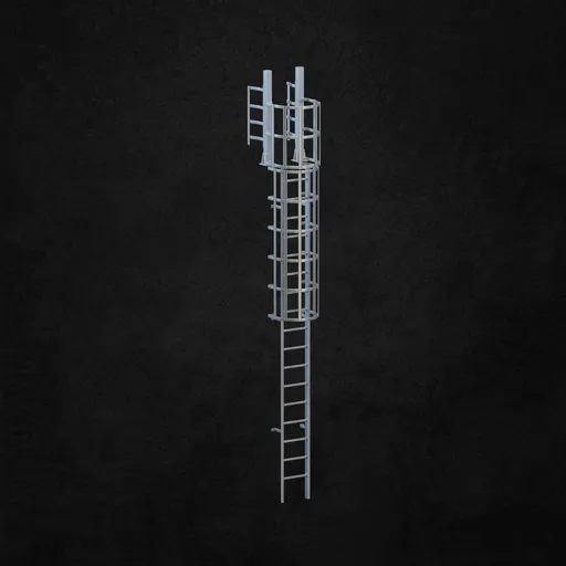 Exterior ladder