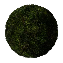 DarkGreen moss