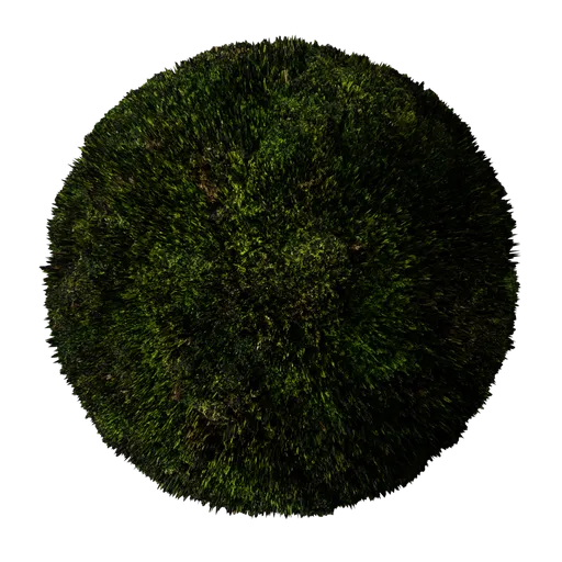 DarkGreen moss