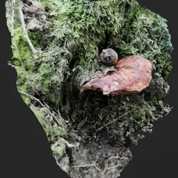 "3D Scanned Mushroom on Mossy Tree Stump with Leaf - Nature Outdoor Model for Blender 3D by Joachim Patinir Inspired Artist. Realistic Shading and Photorealism with Well-Rendered Details for Wild Shape Scenes. Perfect for Nature-lovers and 3D Enthusiasts. "