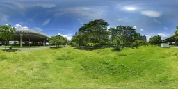 Green grass during the day