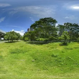 Green grass during the day