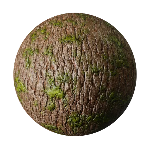 Bark with Moss