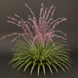 SJ-Lush Elysium Shrub