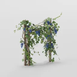 Grapevines