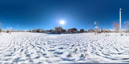 Open Snow Field Under Winter Sun