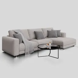 Modern Elegant Sofa T-Time Sectional