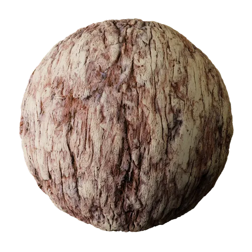 Tree Bark