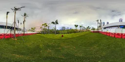 Green grass at night