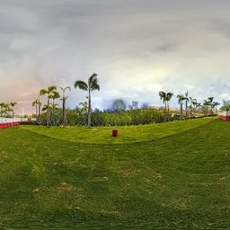 Green grass at night