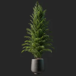 Detailed 3D model of a lush green indoor palm tree in a modern black vase for Blender rendering.