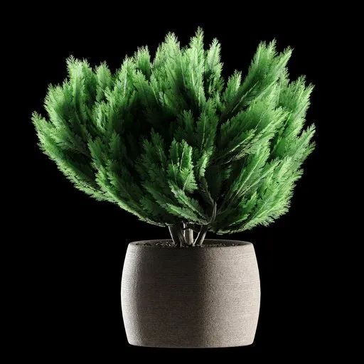 Realistic 3D thuja plant in a sleek concrete pot for Blender rendering, perfect for architectural visualization.