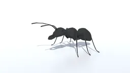 Low Poly Ant