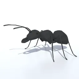 Low Poly Ant