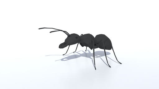 Low Poly Ant | Insects models | BlenderKit