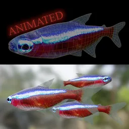 Red neon tetra fish (animated)