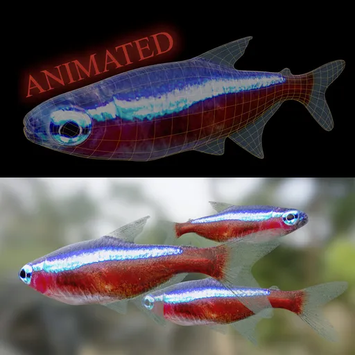 Red neon tetra fish (animated)