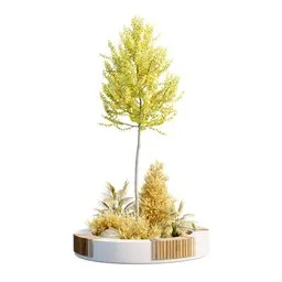 Tree Urban Set for Garden Collection