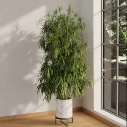 Elegant Indoor Bamboo Tree