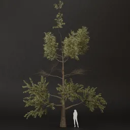 SJ-Lush Terrain Pine Tree