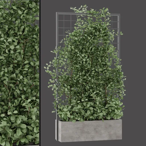 Architectural Green Wall