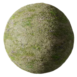 Mossy ground PBR texture for 3D rendering with diffuse, normal, roughness, and displacement maps.