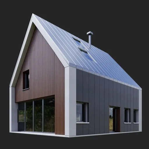 Modern Barn House