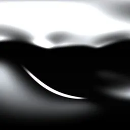 Studio Black and White