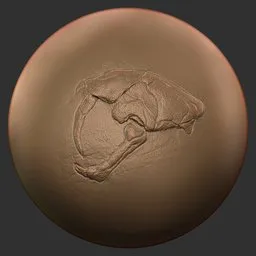 ER_Fossil Brush-dinosaur