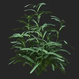 Dense Green Leafy Simple Plant