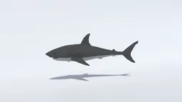 Low Poly Animated Shark
