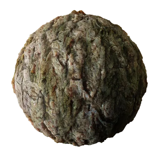 Tree Bark