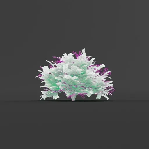 Shrub