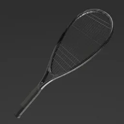 Speedminton Racket