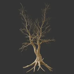 Dry Tree - Crooked tree