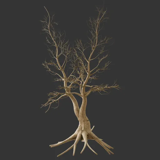 Dry Tree - Crooked tree