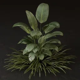 SJ-Outdoor Shrub With Variations