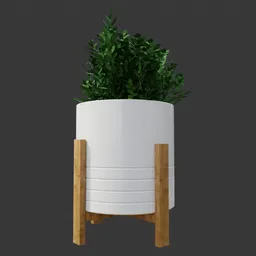 Indoor plant with white pot