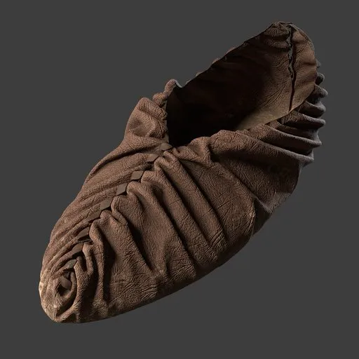 Shoe