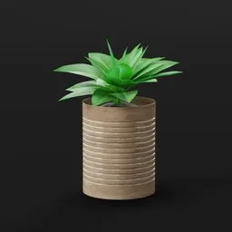 Green Decorative Plant